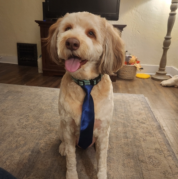 Foxsakesvintage is LIVE. No Theme, Sharing Yours & Mine - Picture 8 of 10